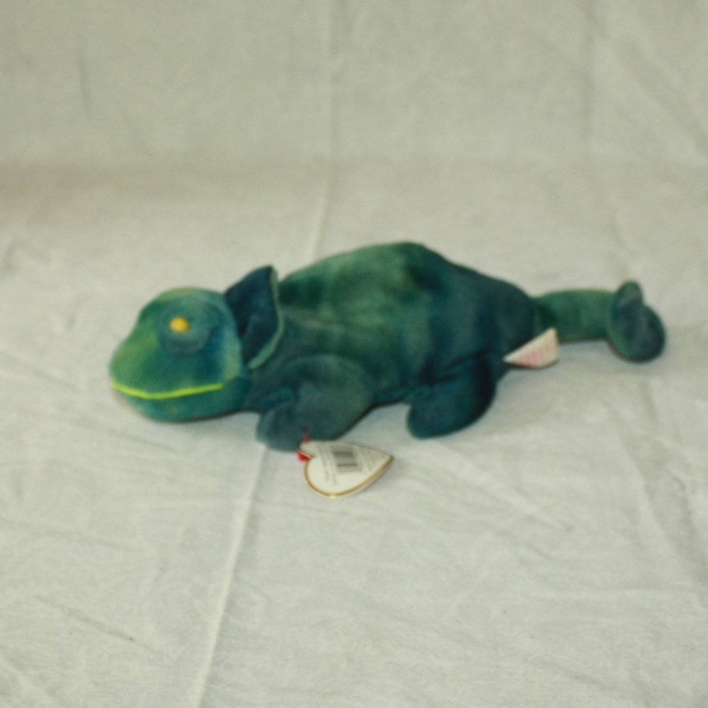 Rainbow the Chameleon